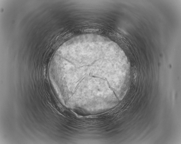 X0000087400745200705111825