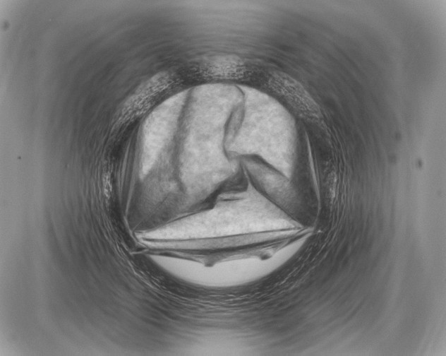 X0000087400746200705111825