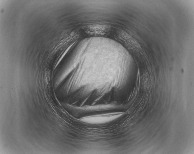 X0000087400747200705111825