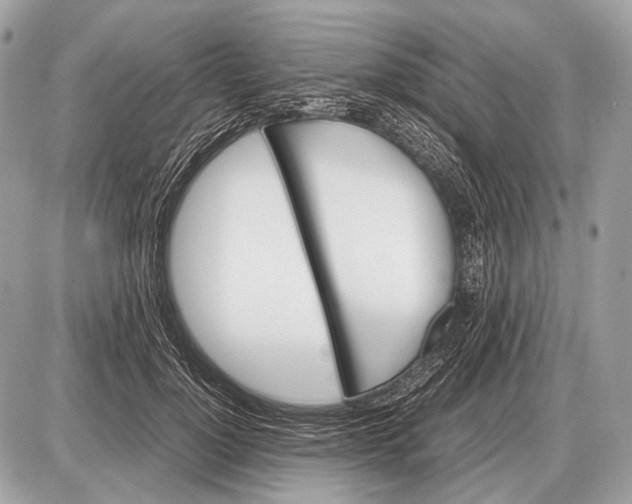 X0000087400748200705111825