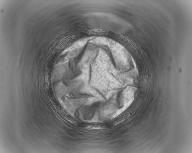 X0000087400749200705111825