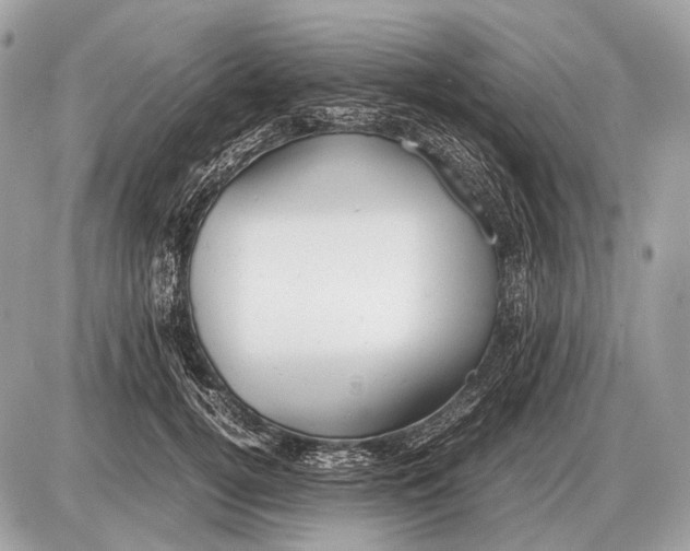 X0000087400752200705111825