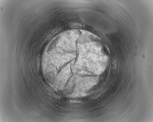 X0000087400753200705111825