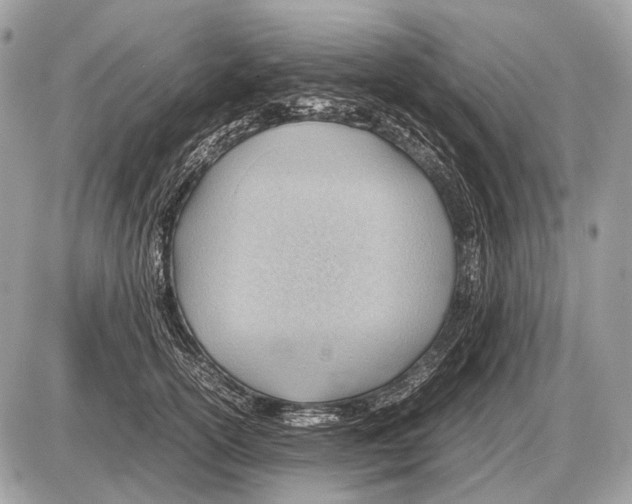 X0000087400754200705111825