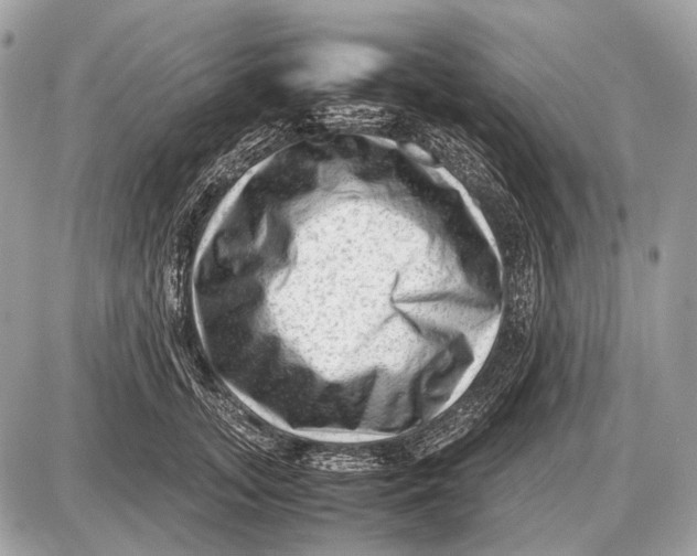 X0000087400755200705111825