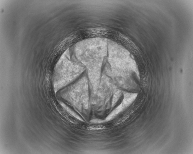 X0000087400757200705111825