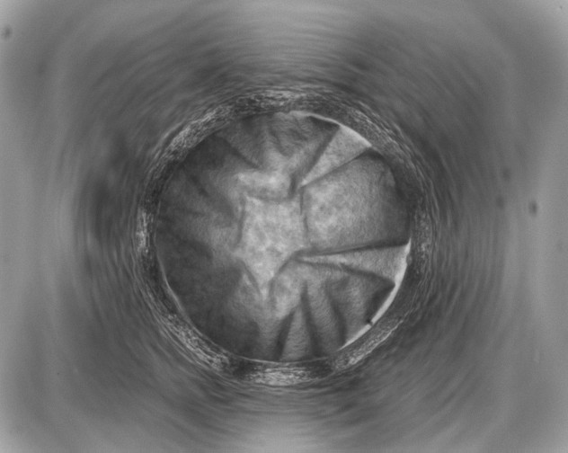 X0000087400758200705111825