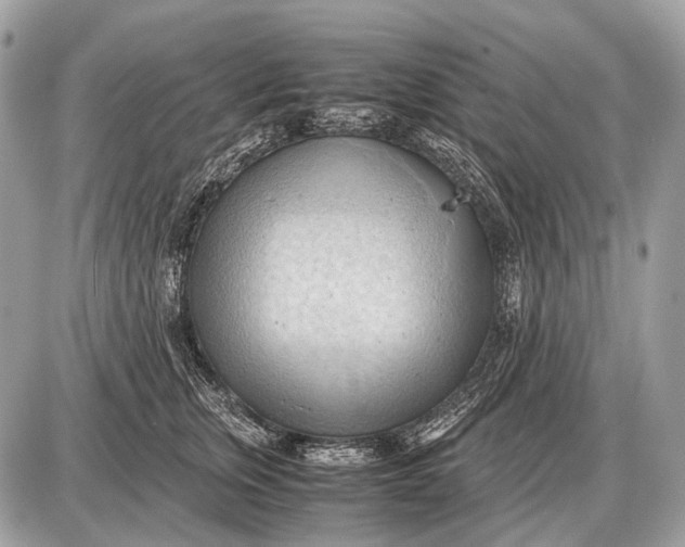 X0000087400759200705111825