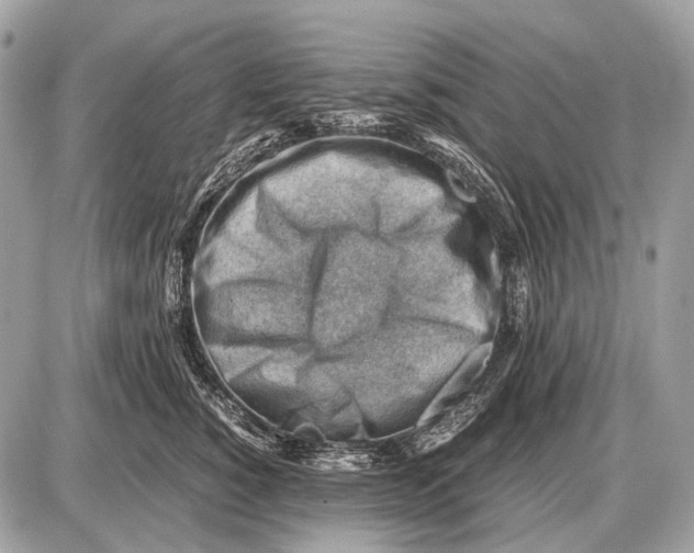 X0000087400760200705111825