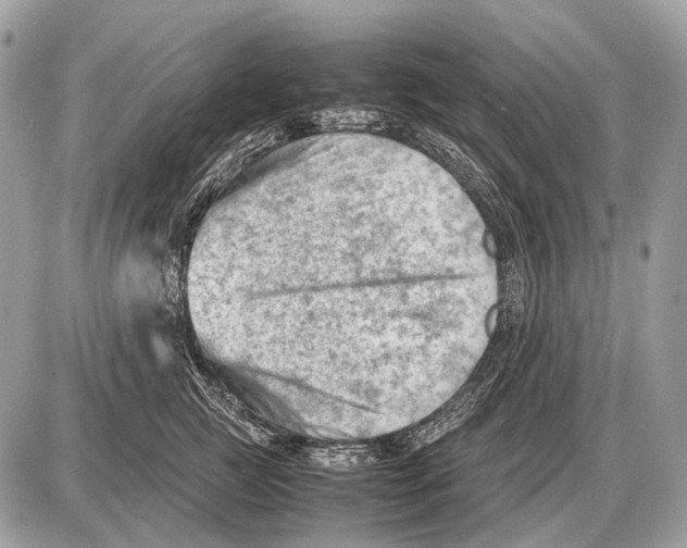 X0000087400761200705111825