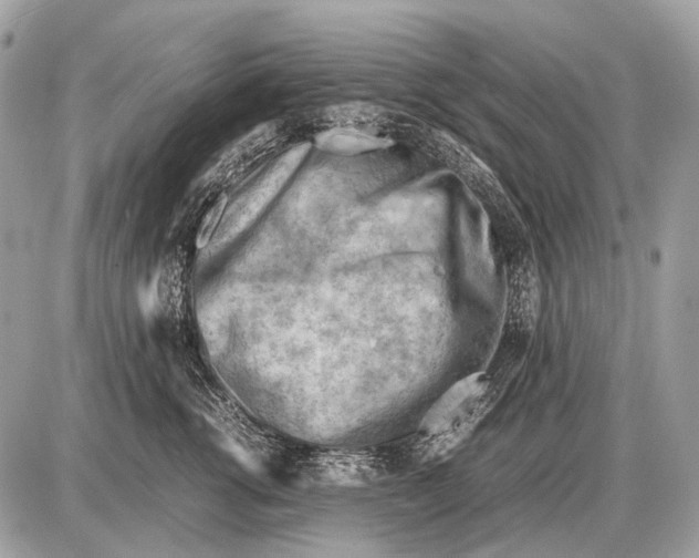 X0000087400762200705111825