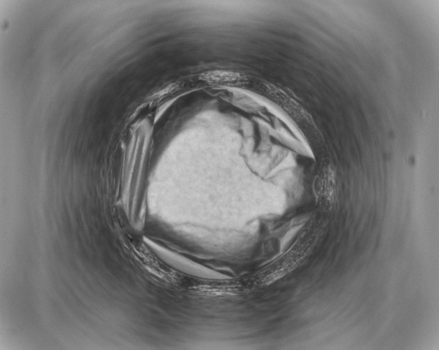 X0000087400763200705111825