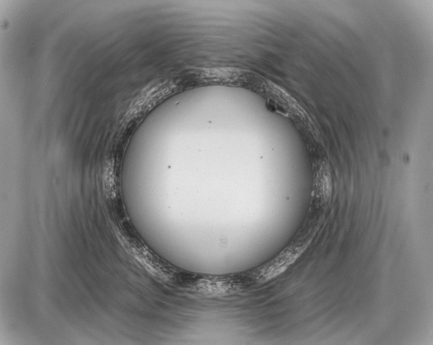 X0000087400764200705111825