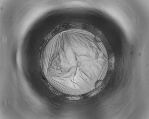 X0000087400765200705111825