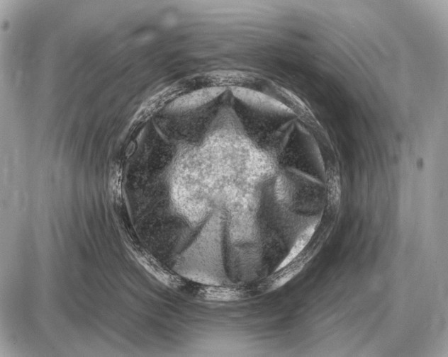 X0000087400766200705111825