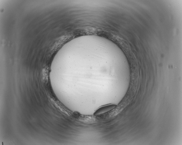 X0000087400768200705111825