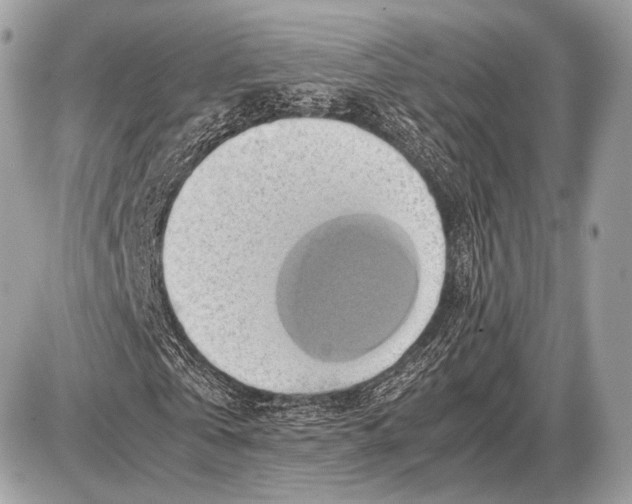 X0000087400769200705111825