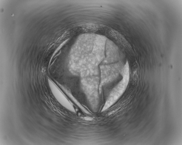 X0000087400772200705111825