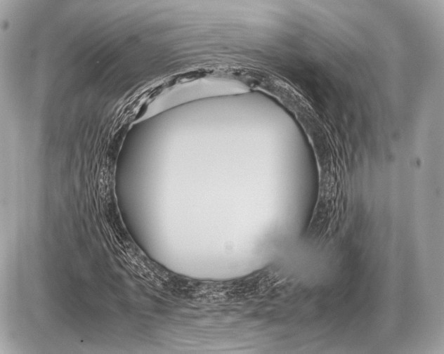 X0000087400773200705111825