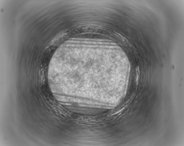 X0000087400774200705111825