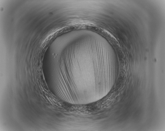 X0000087400775200705111825