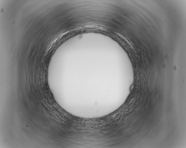 X0000087400776200705111825