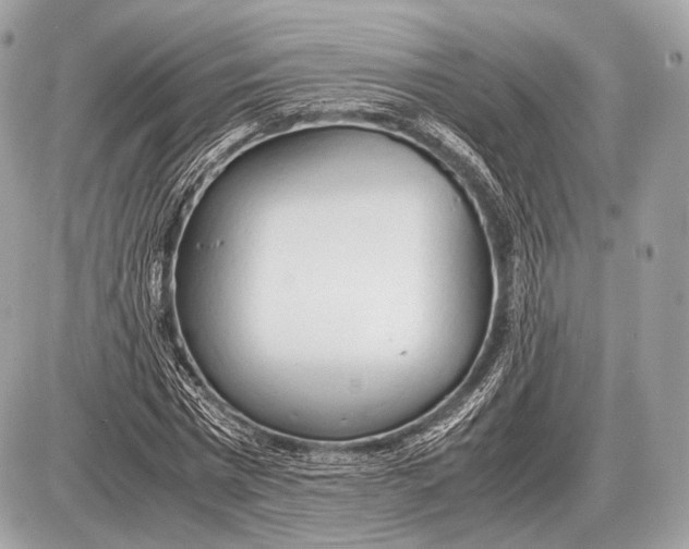 X0000087400777200705111825