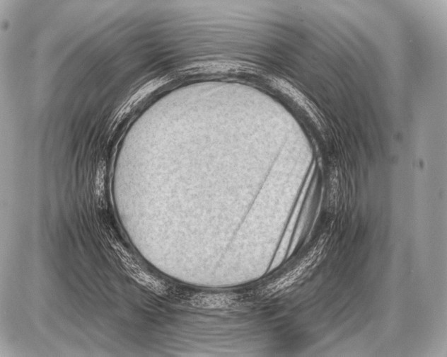 X0000087400778200705111825