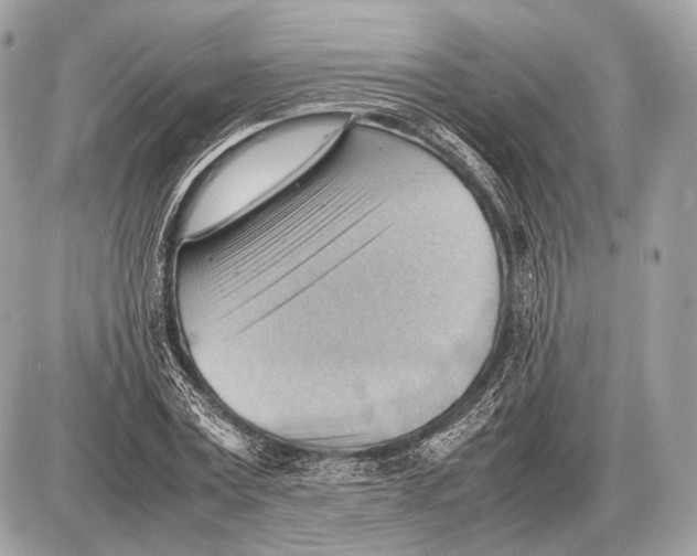 X0000087400779200705111825