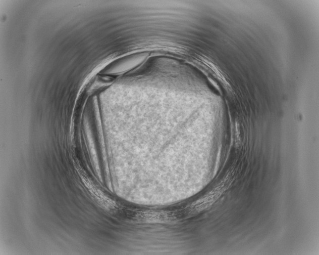 X0000087400780200705111825