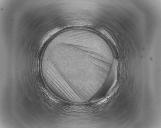 X0000087400781200705111825