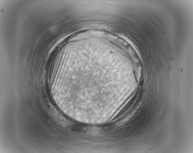 X0000087400783200705111824