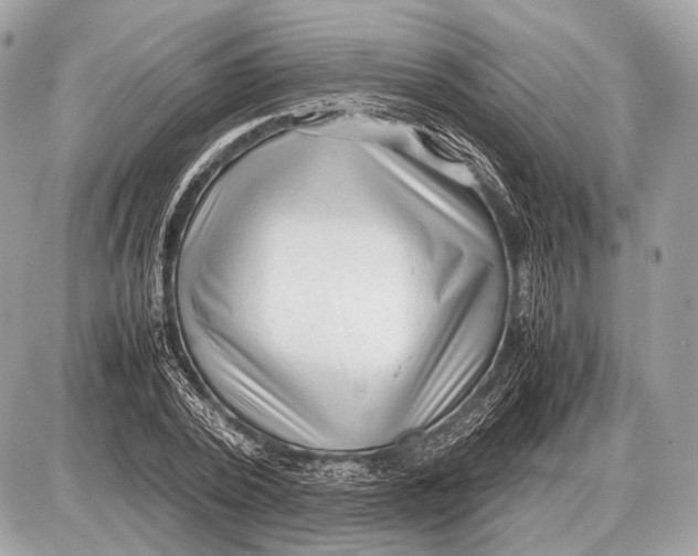 X0000087400784200705111824