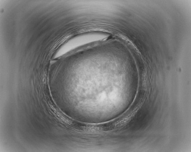 X0000087400785200705111824