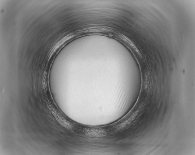 X0000087400786200705111824