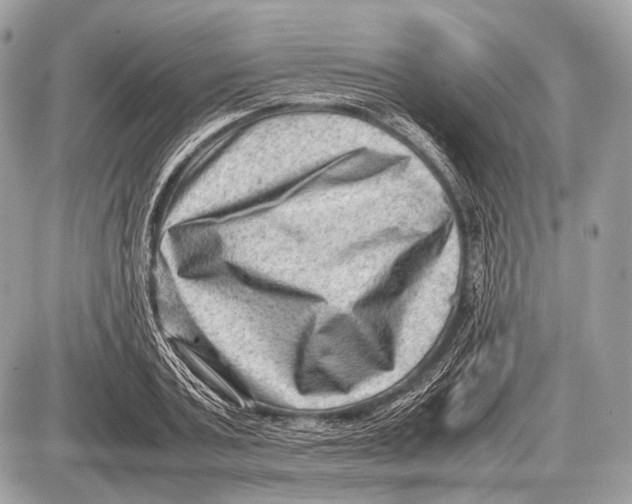 X0000087400787200705111824