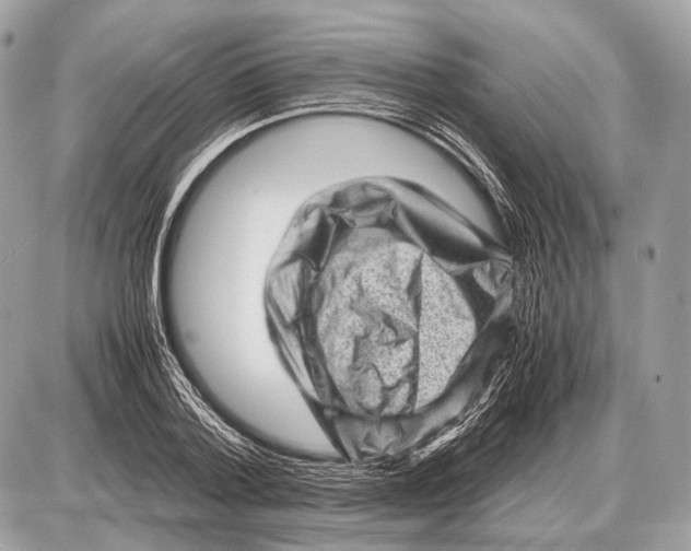 X0000087400788200705111824