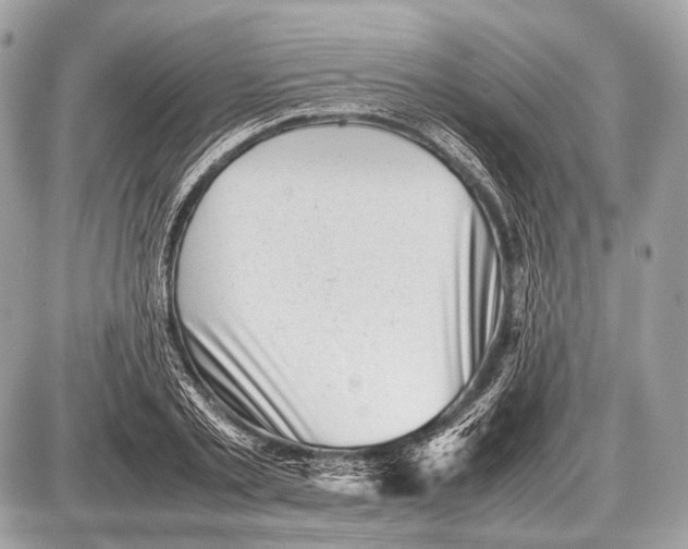 X0000087400789200705111824