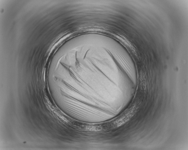 X0000087400790200705111824