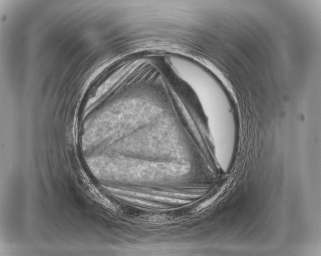 X0000087400791200705111824