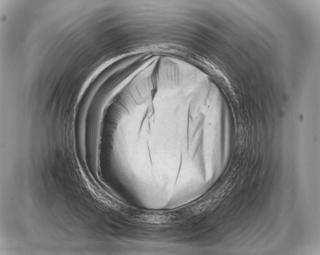 X0000087400792200705111824