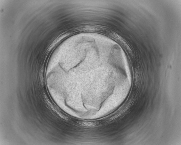 X0000087400794200705111824