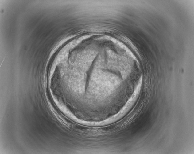 X0000087400795200705111824