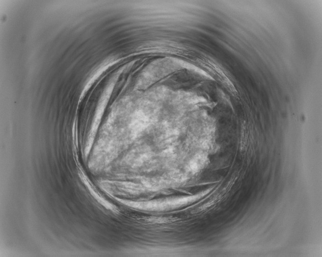 X0000087400796200705111824