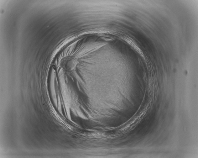 X0000087400797200705111824