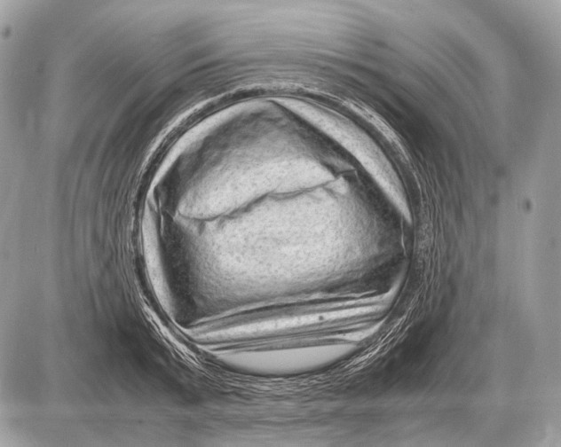 X0000087400799200705111824