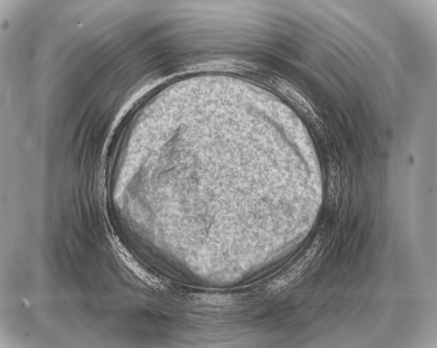 X0000087400800200705111824