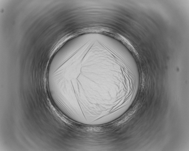 X0000087400802200705111824