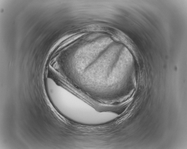 X0000087400803200705111824