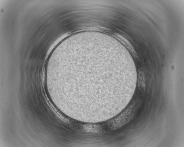 X0000087400804200705111824